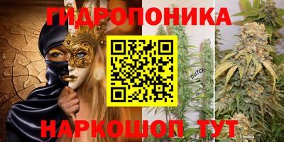 прущие грибы Донецк