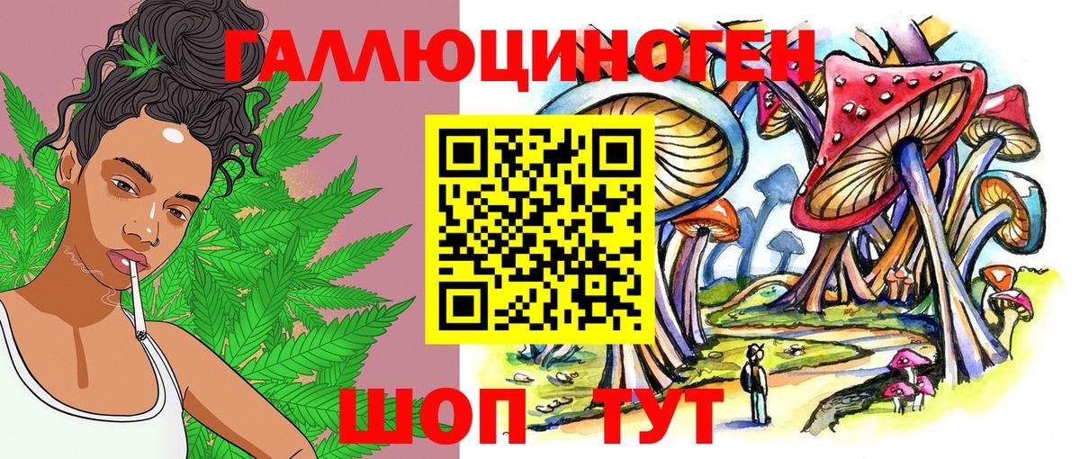 Галлюциногенные грибы Psilocybe Надым
